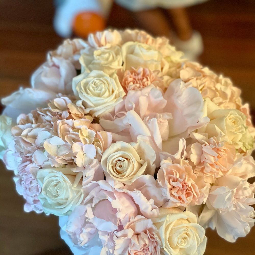 Meet your Posher, Rosa